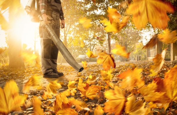 Cost of Leaf Blowing Service in Seattle