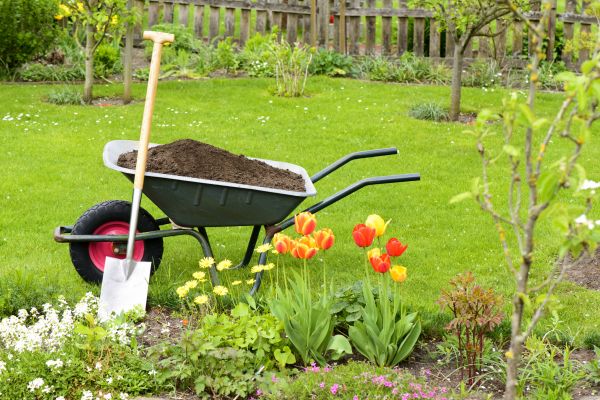 Cost of Spring Yard Cleanup in Seattle