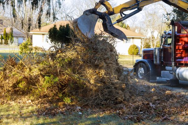 Cost of Storm Debris Removal in Seattle