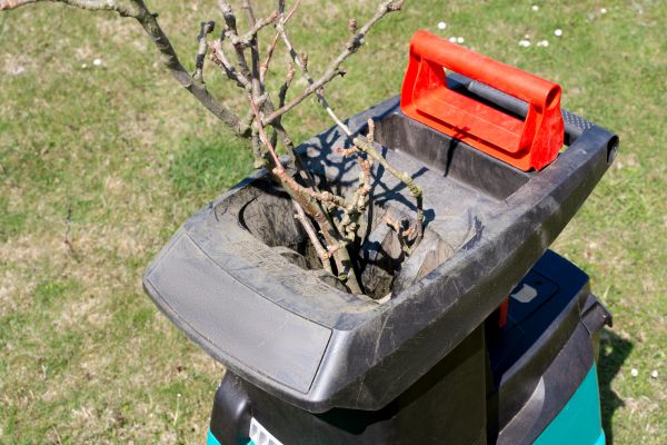 Cost of Brush Cleanup Service in Seattle