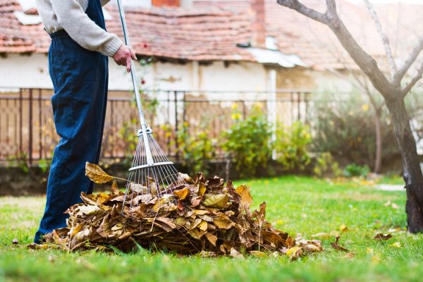 Cost of Fall Yard Cleanup Service in Seattle