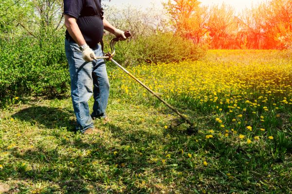 Cost of Yard Clearing Service in Seattle