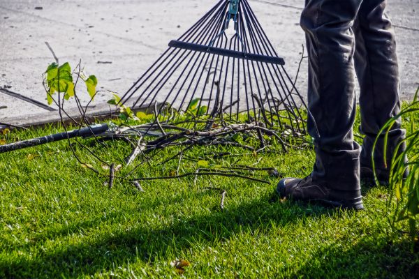 Cost of Yard Debris Cleanup in Seattle