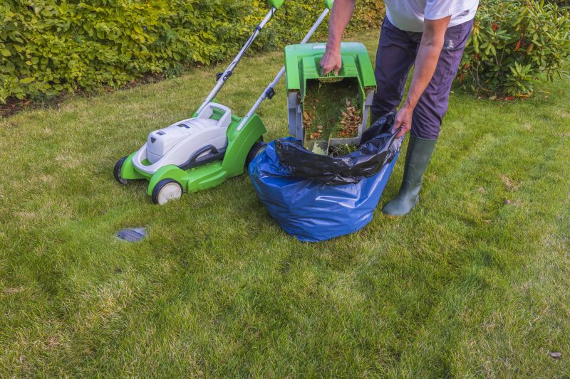 Fall Lawn Cleanup Service